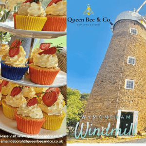 In The Hive Networking at Wymondham Windmill on 25th June