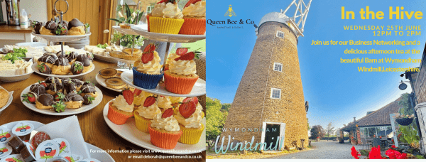 In The Hive Networking at Wymondham Windmill on 25th June